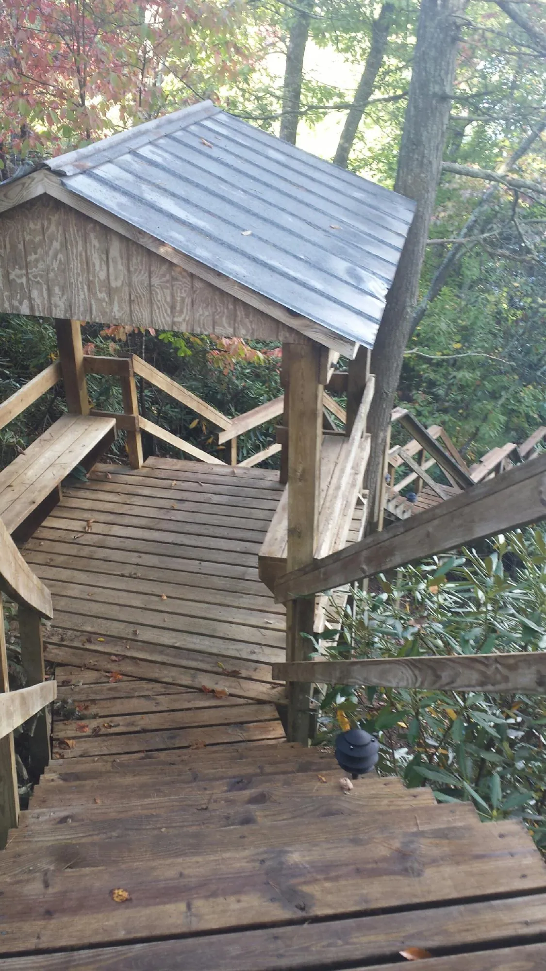 Metal roofed shelter over wooden steps on a wooded walkway — Skylight Repair & Installation work by our crew in Mount Dora